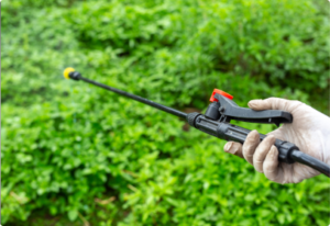 Services-Page-Pest-Control-Silverfish