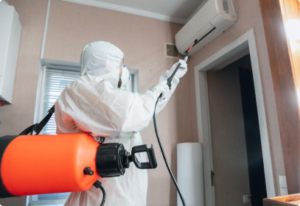 Services-Page-Pest-Control-Spiders