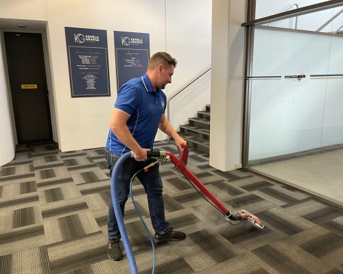 Professional Carpet Cleaning Services