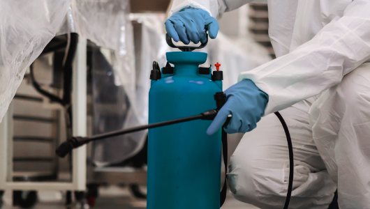 Pest Control Preparation Tips